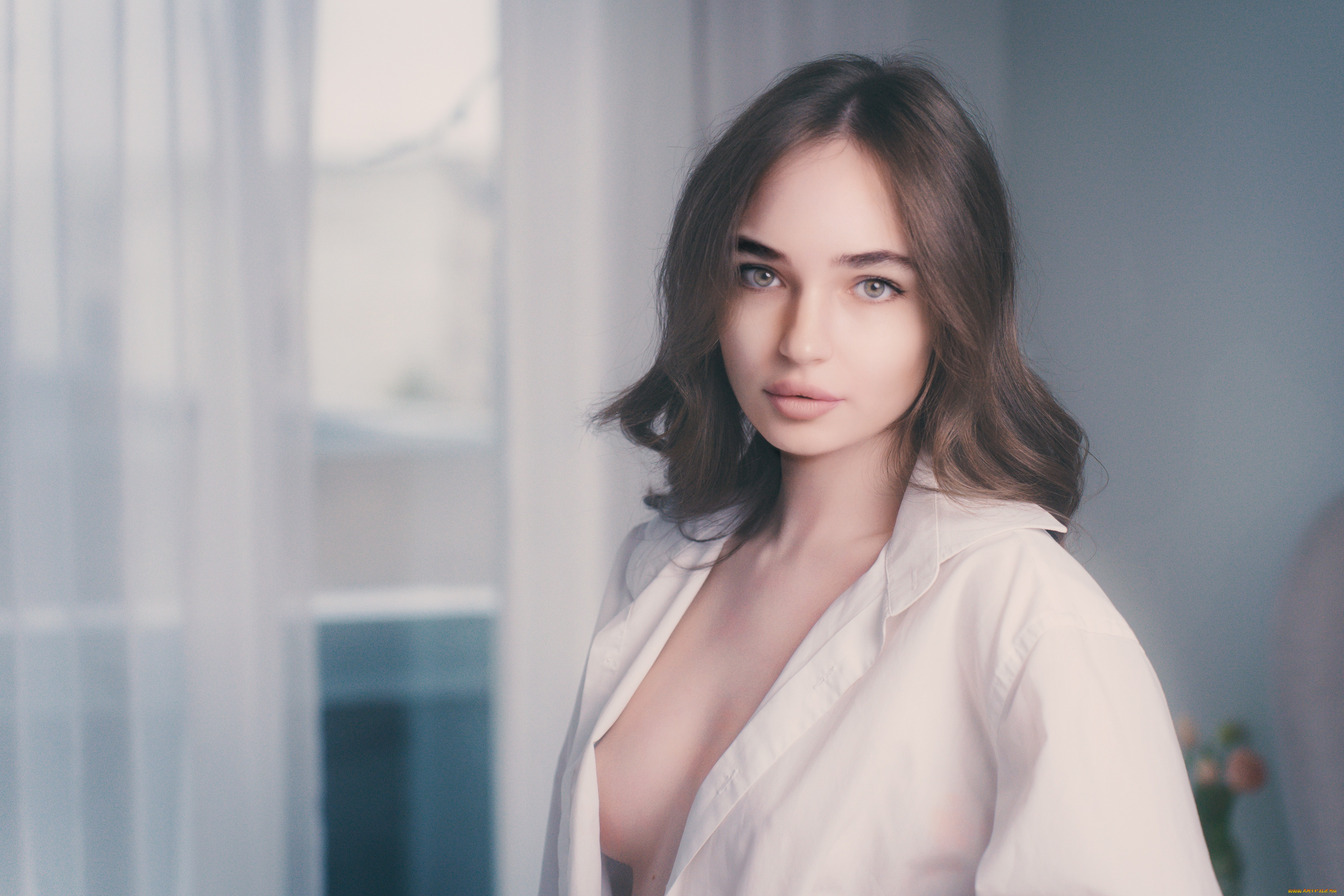 , - ,  , , 